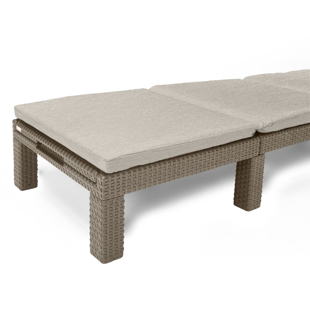 Daytona Sunlounger with Cushion