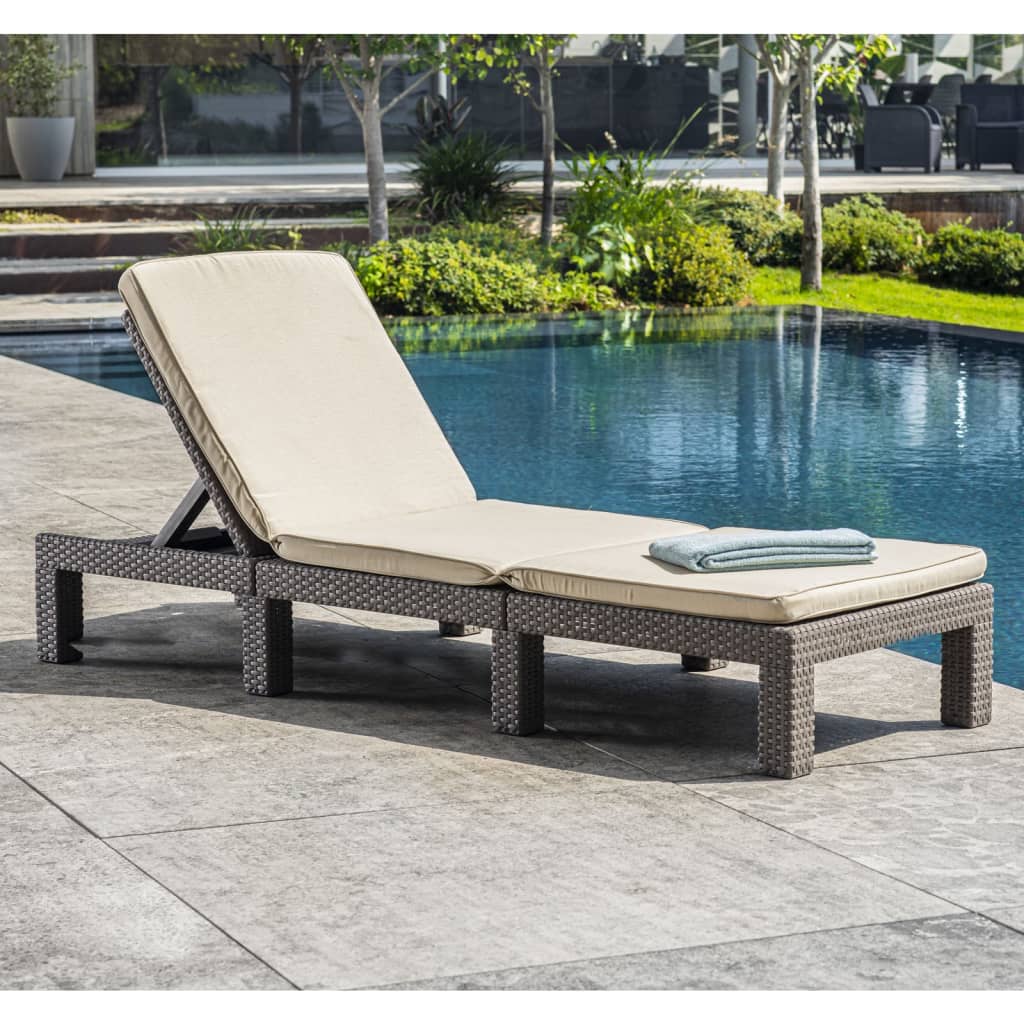 Daytona Sunlounger with Cushion