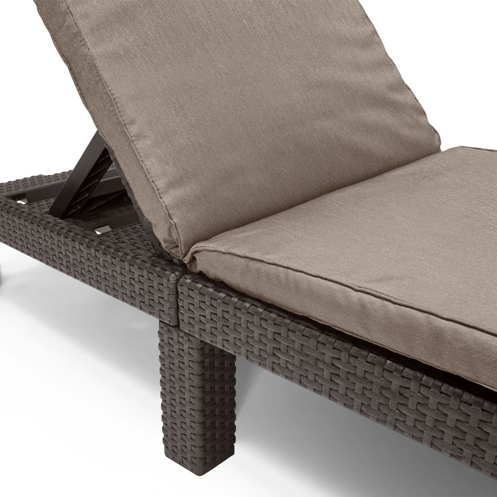Daytona Sunlounger with Cushion