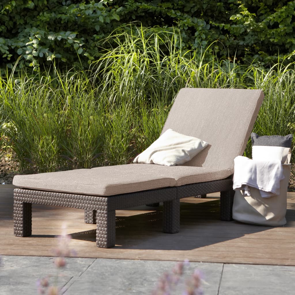 Daytona Sunlounger with Cushion